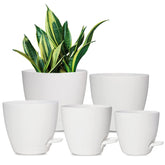 Vanslogreen self watering pots set in matte white, various sizes