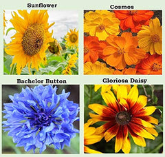 Variety of flower seeds including Zinnia and Snapdragon