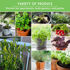 Variety of seeds included in the Survival Garden Seed Kit