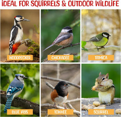 Various birds enjoying Sneaky Mango raw shelled peanuts