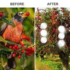 Various components of XPCARE Bird Scare Discs Set