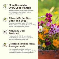 Various flowers from Eden Brothers wildflower mix in bloom
