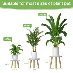 Vecxoty plant stands arranged with various indoor plants