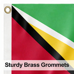 VELIFFCO Guyana Flag fluttering in the breeze