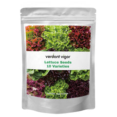 Verdant Vigor 20,000+ Lettuce Seeds Multi Variety Pack front view