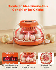 VEVOR 12 Egg Incubator showing automatic egg turning mechanism