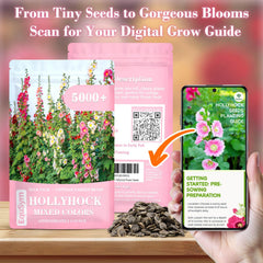 Vibrant pink, red, yellow, and white hollyhock flowers in garden