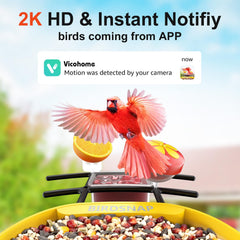 View of birdsnap PAV Bird Feeder with interchangeable attachments