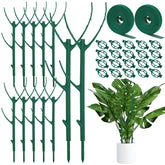 Vintrex 12 Pack Monstera Plant Support stakes with adjustable height