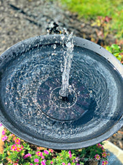 VIVII Solar Fountain Pump installed in a birdbath