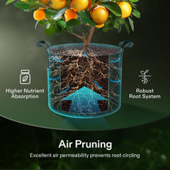 VIVOSUN 15 Gallon Grow Bag filled with soil and plants