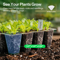 VIVOSUN 6-pack seed trays with garden tools and labels