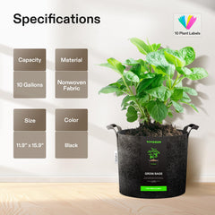 VIVOSUN Fabric Grow Bag with plants inside