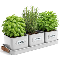 volila indoor herb planter set of 3 warmstone pots with tray