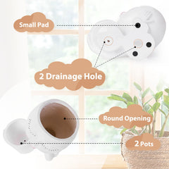 vomiceak face planter pots head with plants, lifestyle scene