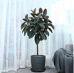 VUWEZ 20 inch plant saucer stacked