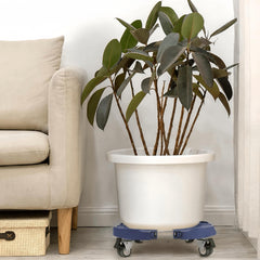 W B D WEIBIDA Plant Caddy with heavy planter on it