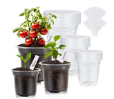 WandaQueen 30 Pack Clear Nursery Plant Pots, 3.5-inch size