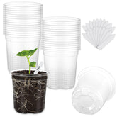 WandaQueen clear nursery pots set of 30, 4 inches diameter