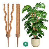 WANLINK 3-in-1 moss pole 30 inch brown color front view