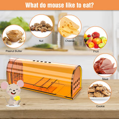 Wanqueen humane mouse trap with cleaning brush