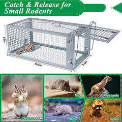 Wanqueen trap made from galvanized steel