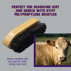 Weaver Livestock Barn Brush in use on a goat
