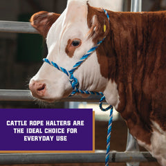 Weaver Livestock Cattle Halter with 7-foot lead rope
