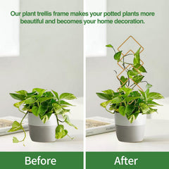 WellSign trellis supporting climbing plants in a pot