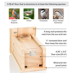 WHITEHORSE Bluebird House showing drainage holes in the floor