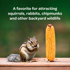 Whole corn cobs for wildlife feeding