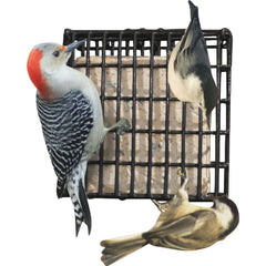 Wildlife Sciences Suet Plus Feeder with suet cake inside