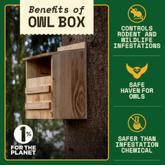 WildYard Barn Owl Nesting Box side view with large front door