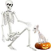 WODMAZ 5.9FT Halloween Life Size Skeleton with Cat front view
