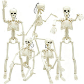 WODMAZ Halloween skeleton front view, 16 inches tall