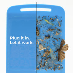 Wondercide Flying Insect Trap in use indoors near a kitchen
