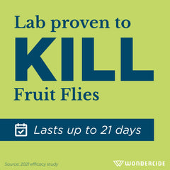 Wondercide Fruit Fly Trap placed near kitchen sink
