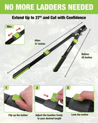 WORKPRO Extendable Bypass Lopper side view showing adjustable length