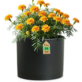 WSMKSZ 10 Inch Round Black Plastic Plant Pot front view with saucer