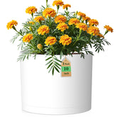 WSMKSZ 10 inch round plastic plant pot front view with drainage holes