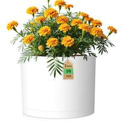 WSMKSZ 10 inch round plastic plant pot front view with drainage holes