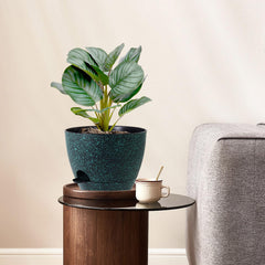 WSMKSZ 10 inch self watering pot side view showing drainage holes