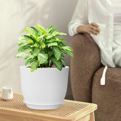 WSMKSZ 10-inch white plant pot with drainage hole