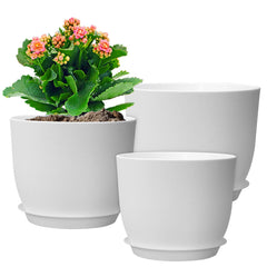 WSMKSZ 12-inch white plant pot with saucer