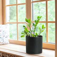 WSMKSZ plastic plant pot placed on a patio with plants