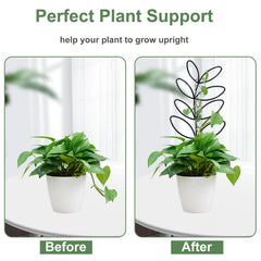 Xeeol metal trellis with climbing plants and ties included