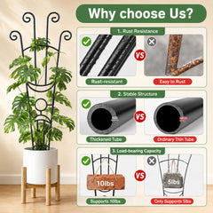 Xeeol plant trellis side view with climbing plants