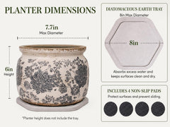 Xiaan Jiaju ceramic planter with decorative saucer, side view