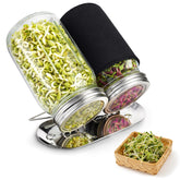 XUNWKONGG Sprouting Jar Kit with glass mason jars and stainless steel lids
