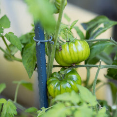 Xuwzenkl garden stakes showing flat head for reinforcement